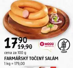 Terno Farmářský točený salám nabídka