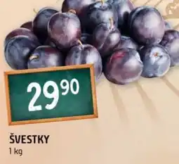Terno Švestky nabídka
