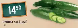 Terno Okurky salátové nabídka