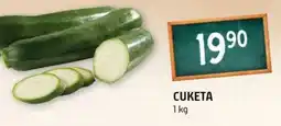 Terno Cuketa nabídka