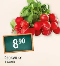 Terno Ředkvičky nabídka