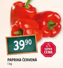 Terno Paprika červená nabídka