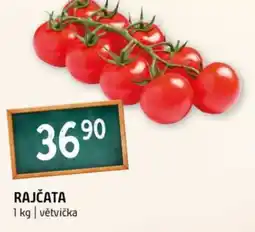 Terno Rajčata nabídka