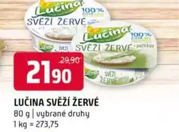 Terno Lučina svěží žervé nabídka