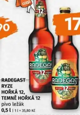 Terno Radegast ryze hořká 12, temně hořká 12 nabídka