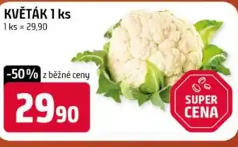 Terno Květák nabídka
