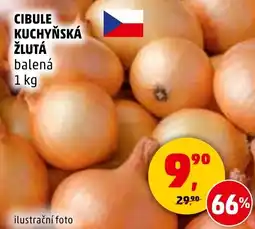 Penny Market Cibule kuchyňská žlutá nabídka