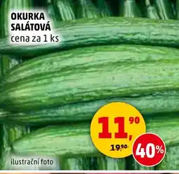 Penny Market Okurka salátová nabídka