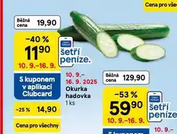 Tesco Okurka hadovka nabídka