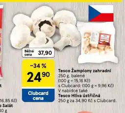 Tesco Žampiony zahradní nabídka