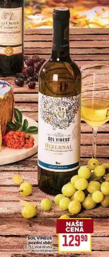 Billa SOL VINEUS pozdní sběr 0,75l nabídka