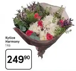 Tesco Kytice Harmony, 1 ks nabídka