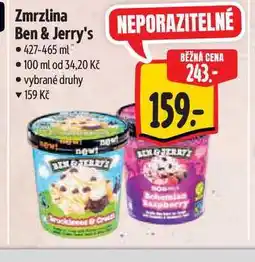 Albert Zmrzlina Ben & Jerry's 427-465 ml nabídka
