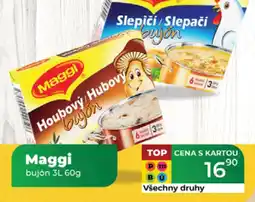 Tamda Foods Maggi bujón nabídka