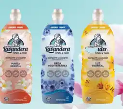 Tamda Foods Lavandera aviváž koncentrát nabídka