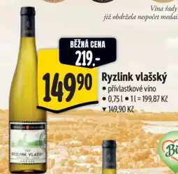 Albert Ryzlink vlašský nabídka