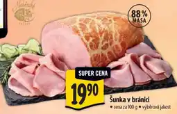 Albert Šunka v bránici nabídka