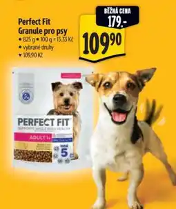 Albert Perfect Fit granule pro psy nabídka