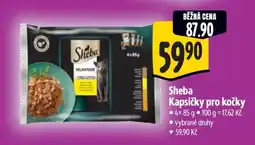Albert Sheba kapsičky pro kočky nabídka