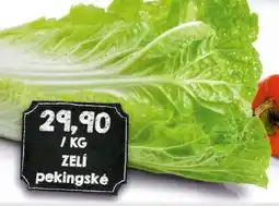 Jip Zelí pekingské nabídka