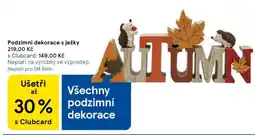 Tesco Podzimní dekorace s ježky nabídka