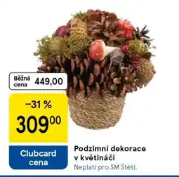 Tesco Podzimní dekorace v květináči nabídka
