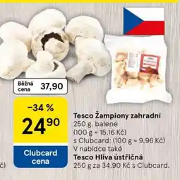 Tesco Tesco Žampiony zahradní nabídka