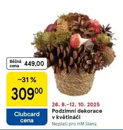 Tesco Podzimní dekorace v květináči nabídka