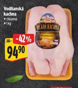 Albert Vodňanská kachna nabídka