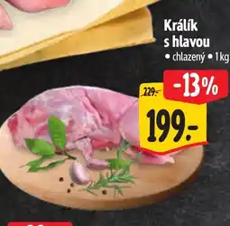 Albert Králík s hlavou nabídka
