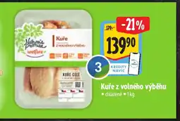 Albert Kuře z volného výběhu nabídka