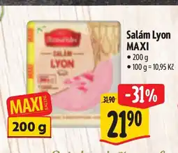 Albert Salám Lyon Maxi nabídka