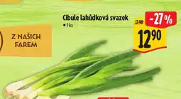Albert Cibule lahůdková svazek nabídka