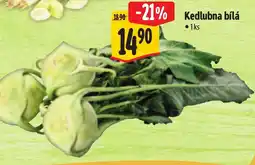 Albert kedlubna bílá nabídka