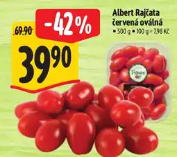 Albert Albert Rajčata červená oválná nabídka