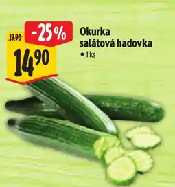 Albert Okurka salátová hadovka nabídka