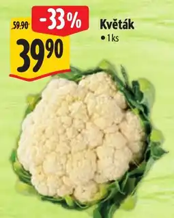 Albert Květák nabídka