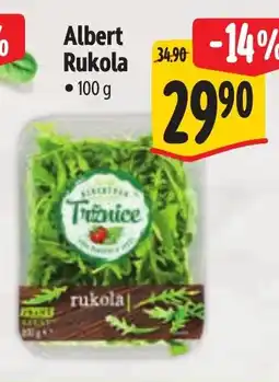 Albert Albert Rukola nabídka