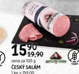 Terno ČESKÝ SALÁM 100 g nabídka
