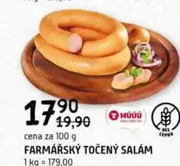 Terno FARMÁŘSKÝ TOČENÝ SALÁM 100g nabídka