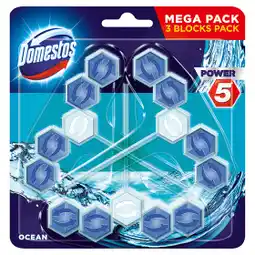 Terno Domestos Power 5 tuhý WC blok 3 x 55g, vybrané druhy nabídka