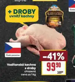 Billa Vodňanská kachna s droby nabídka