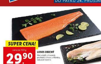Lidl Losos obecný nabídka