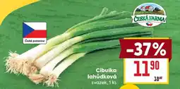 Billa CIBULKA LAHŮDKOVÁ nabídka