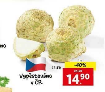 Lidl Celer nabídka