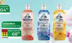Tamda Foods Lavandera aviváž koncentrát 1,76L nabídka