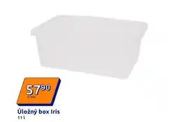 Action Úložný box iris nabídka