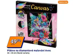 Action Plátno na diamantové malování avec nabídka