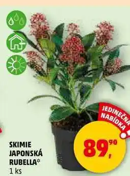 Penny Market SKIMIE JAPONSKÁ RUBELLA, 1 ks nabídka