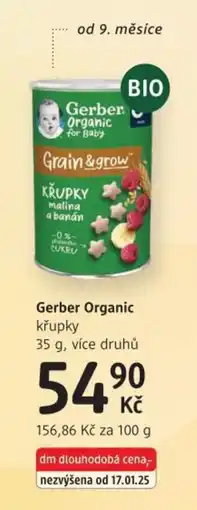 dm drogerie Gerber Organic křupky nabídka